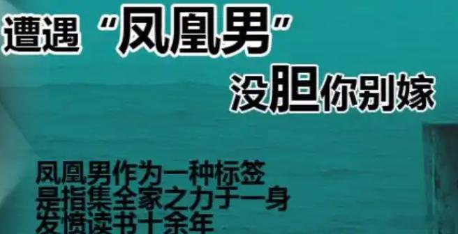 说一个农村凤凰男不太好的故事。他父母属于不着调的人，还结婚好多次，生了一堆孩子，