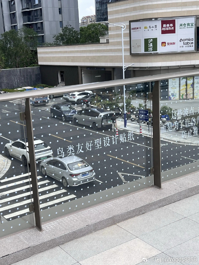 城市给鸟儿留了红灯
