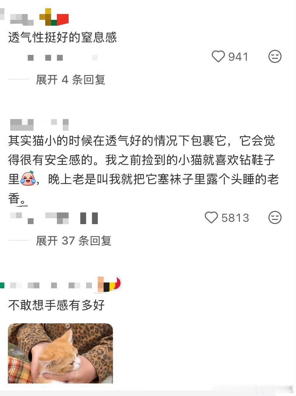 猫包已经进化成这样了朋友新买的猫包特别轻，她说以前背猫出门胳膊酸，现在轻松多了