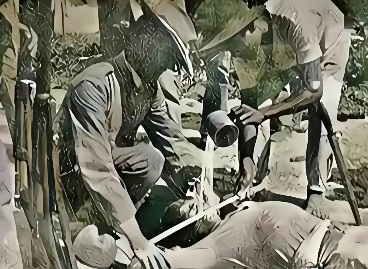 日寇侵华期间罪行令人发指：他们用军刀压住先辈的下嘴唇，将100度滚烫开水往嘴里灌