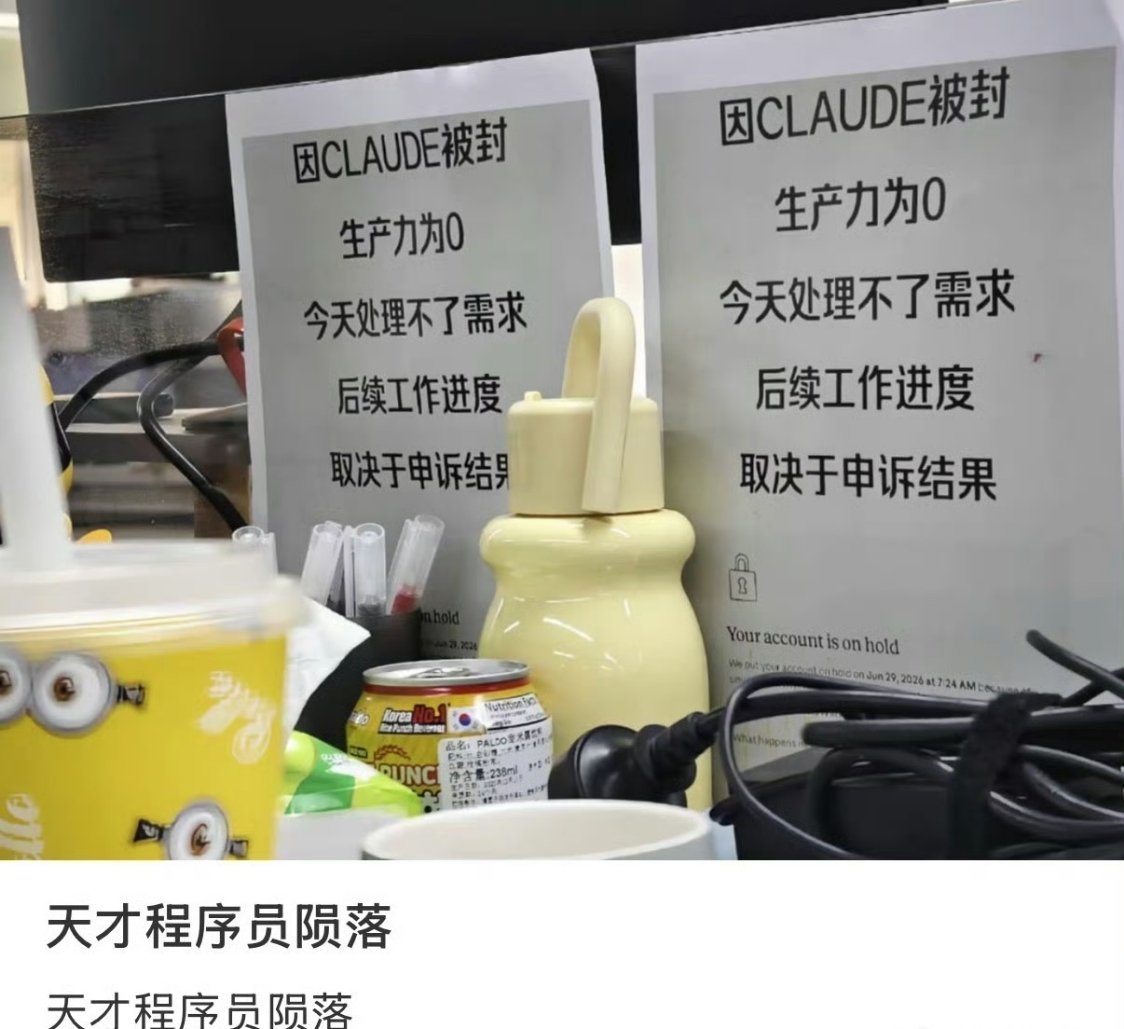天才程序员陨落好好的编程工具背地里藏隐形水印、偷偷采集各类数据，现在大批量封号，