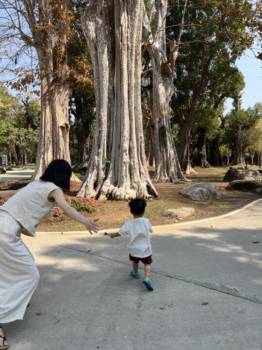 清迈旅居｜恣意、快乐、生活感很强的日子🏜️