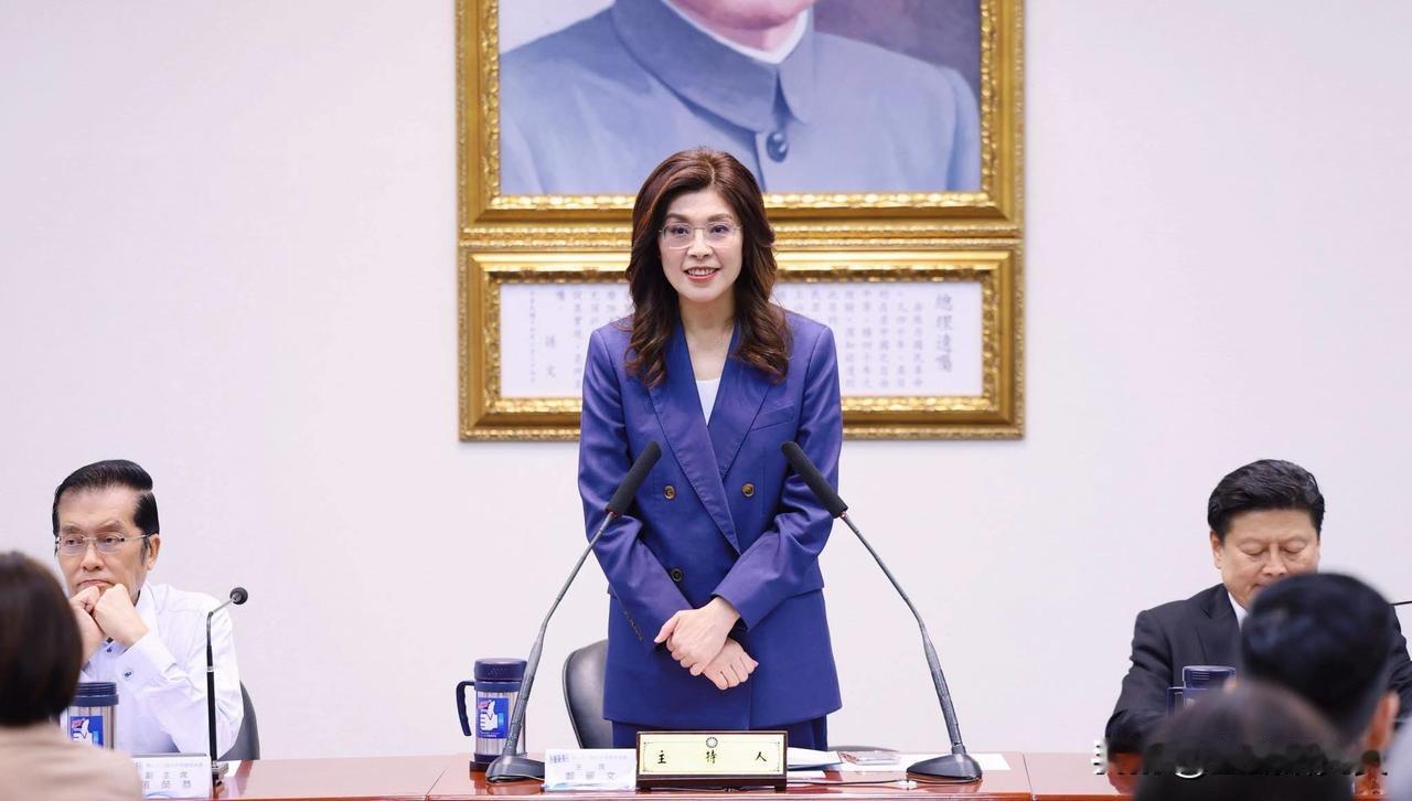 国民党主席郑丽文昨天（30日）出席一场活动并发表讲话表示，国民党在2026年及2