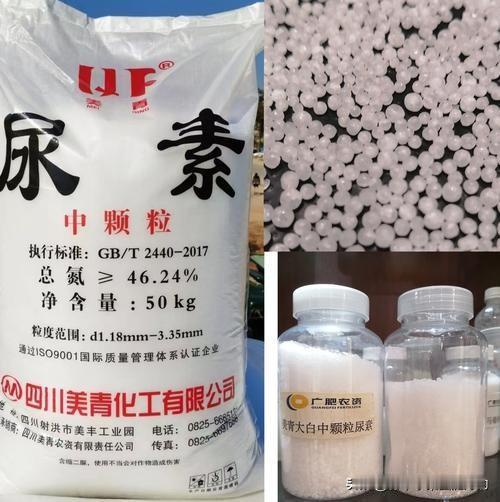  碍于情面不敢直说，我早已放弃尿素种菜前几天邻居喊我一起合伙买尿素，说整袋买