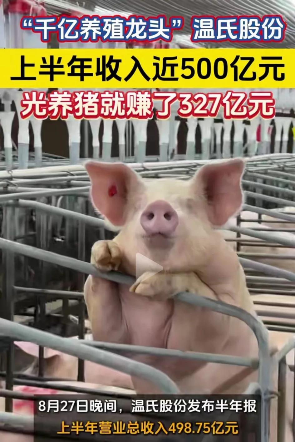 27日晚，千亿规模养殖龙头企业温氏股份上半年收入500个亿，光养猪就赚了327个