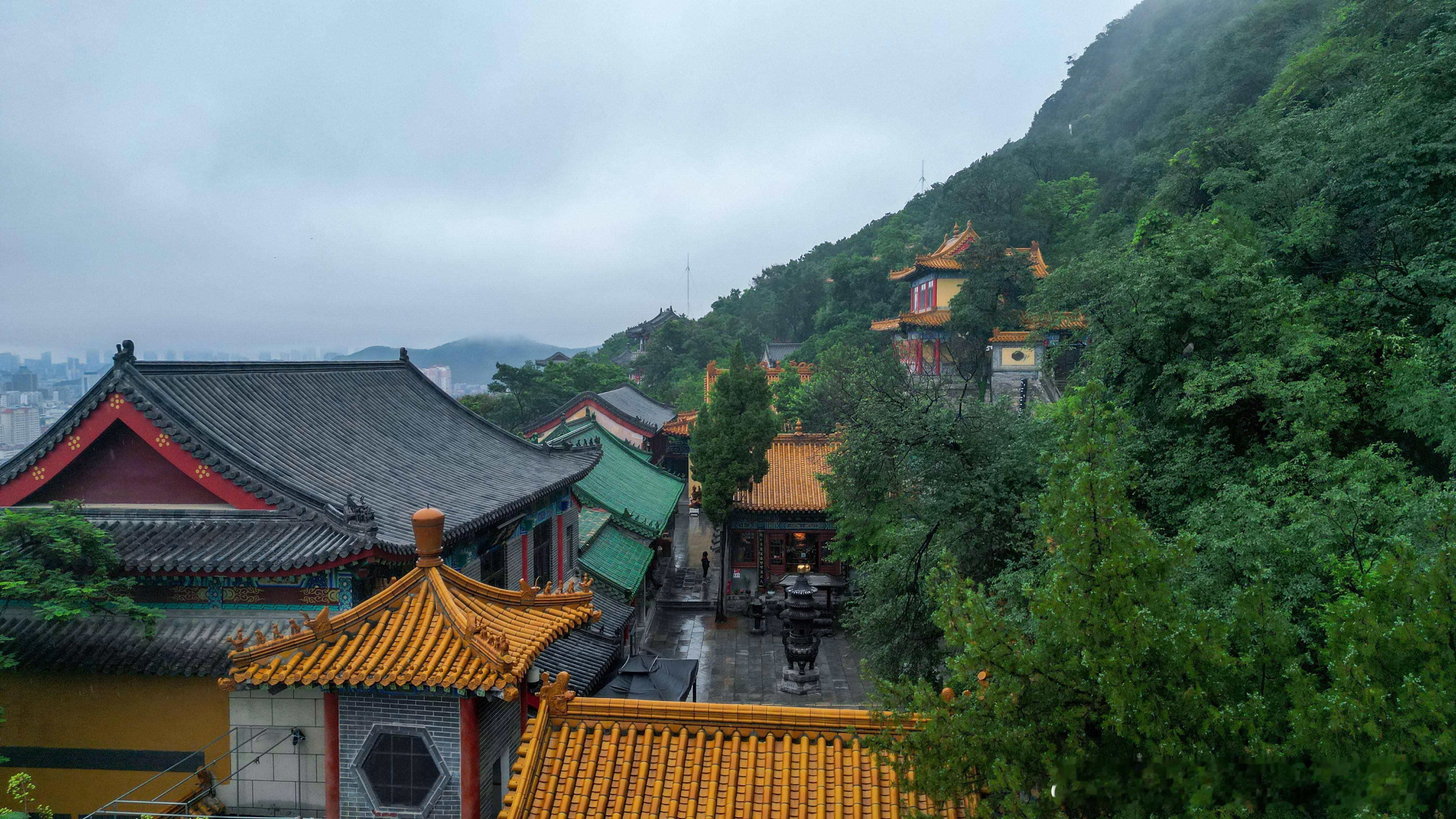 雨后的济南，千佛山悄悄变了模样。雨后登山，空气里都是润润的甜。拾级而上，松针上还