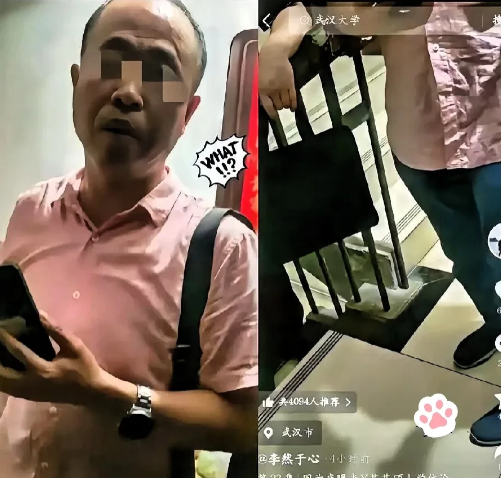我的预感完全正确原来是这样的，武汉大学硕士生杨某某的论文《中印生育行为如何影响