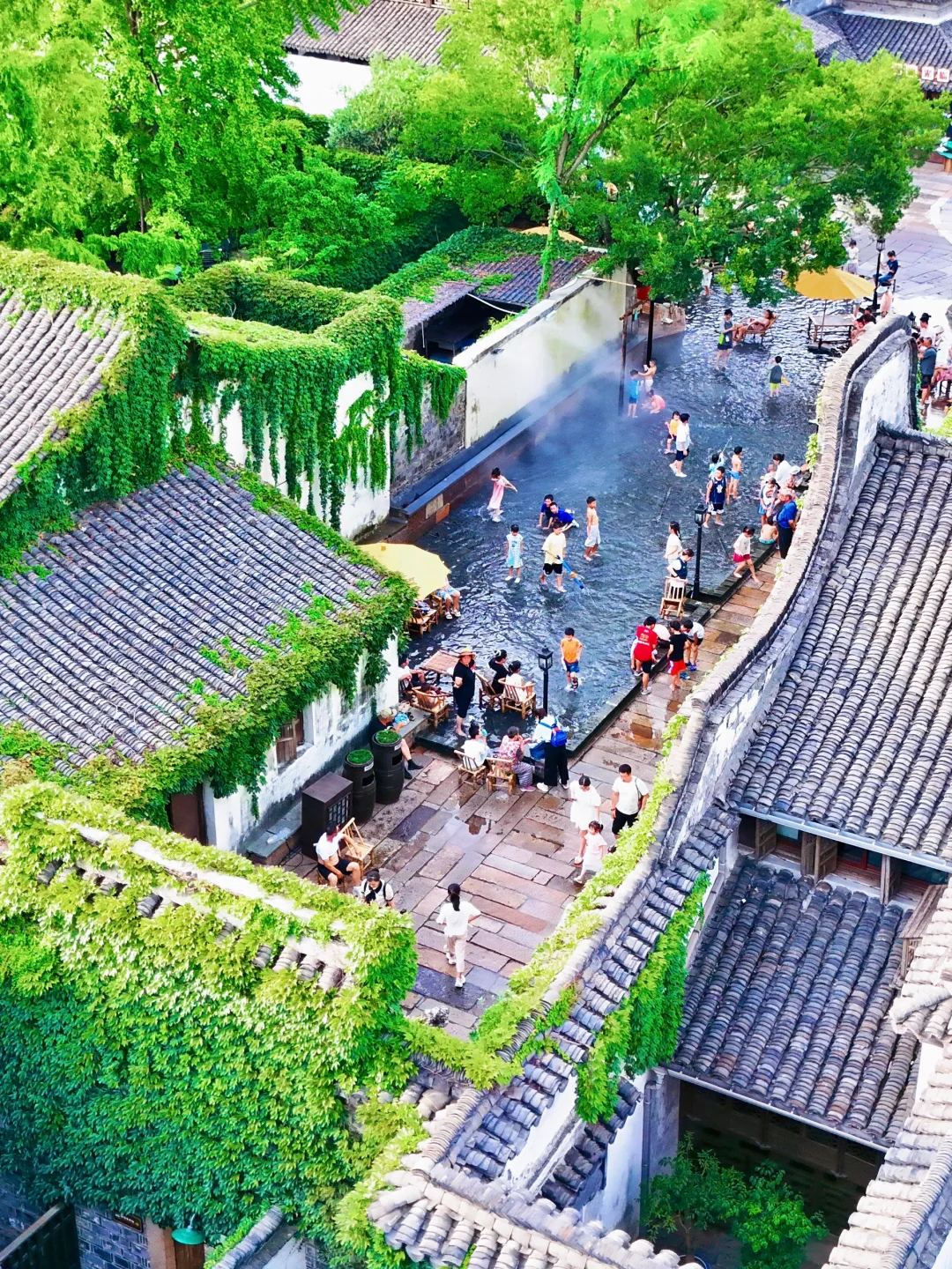 刚从乌镇回来❗️这条清凉懒人路线请码住💯