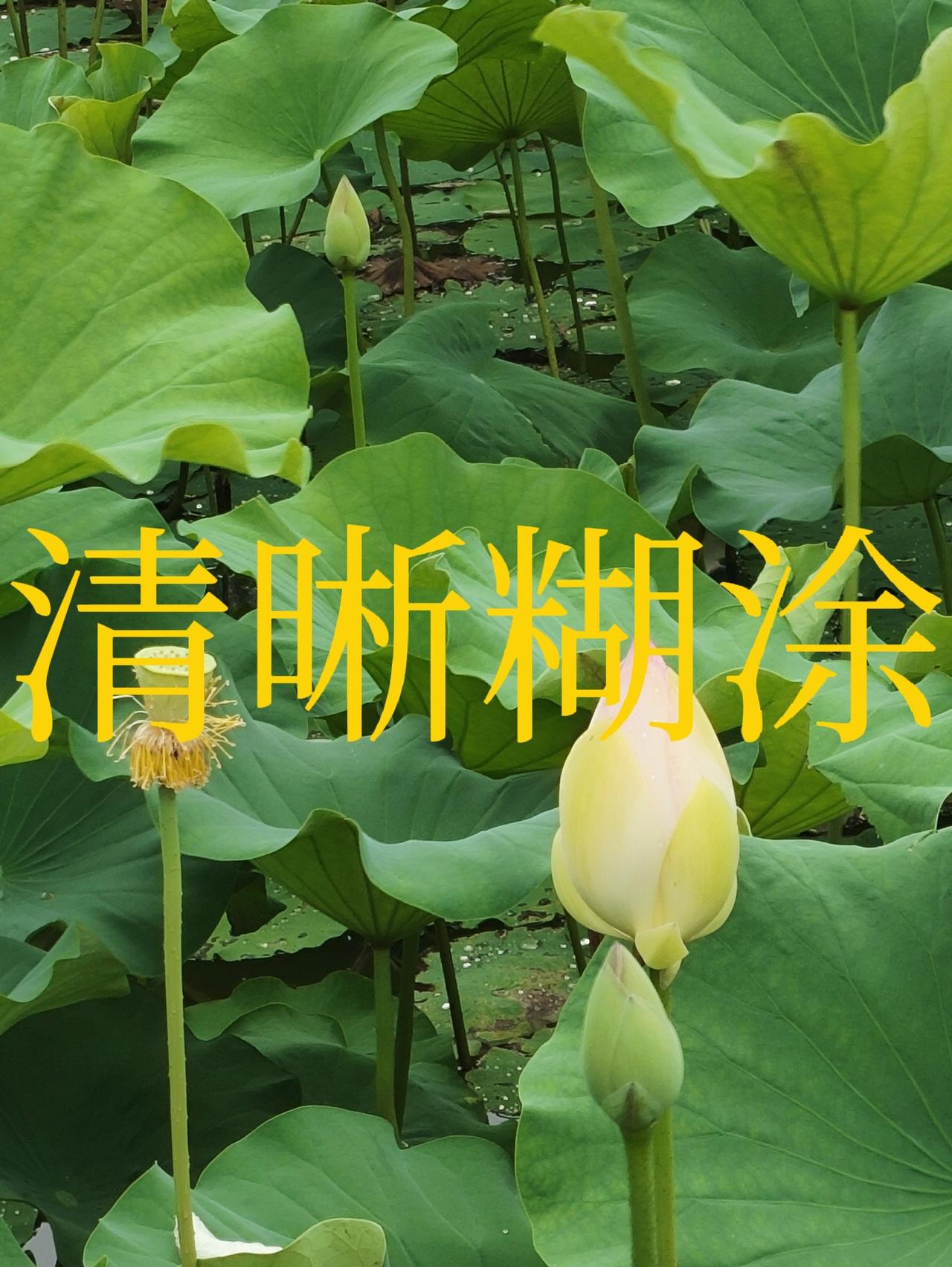 美国欧盟忽然就衰落了中国崛起于哪一年？美国衰落于哪一天？欧盟没落于什么时间？