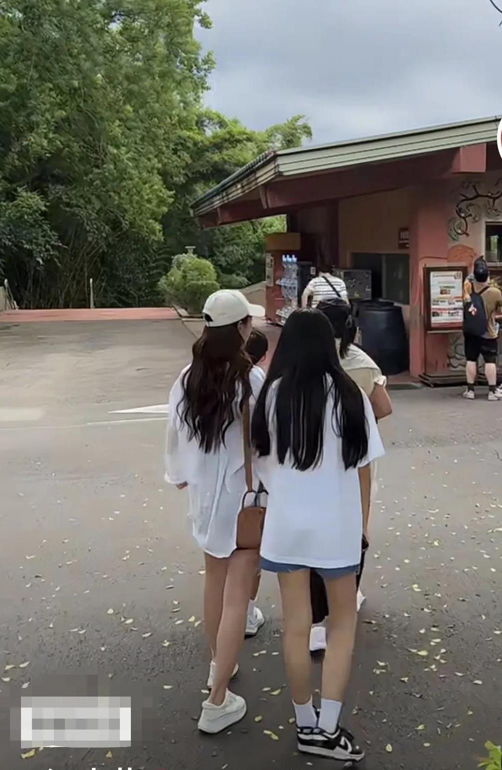 大家发现了吗？汪小菲越是发他们一家人欢乐在一起的视频，网友们越爱看，就觉得看完之