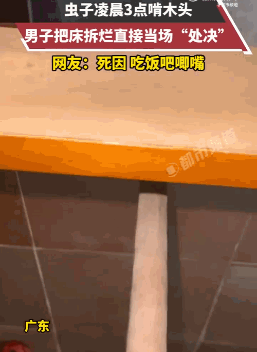 士可忍孰不可忍！6月9日深圳新闻网报道，广东，一男子凌晨三点正在睡觉，突然听到“