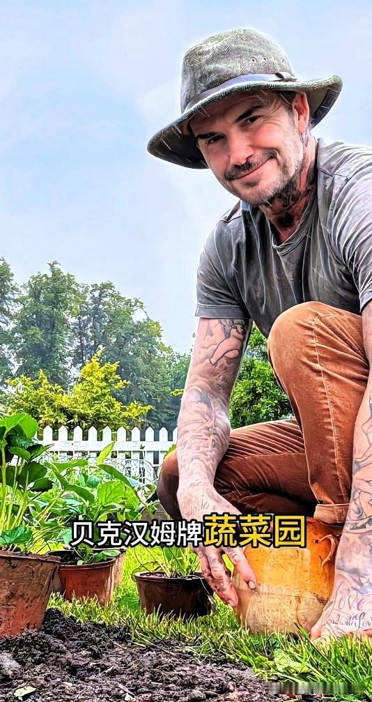 贝克汉姆豪宅变农场大帅哥终于老了，老了就回归家庭，种出来的菜都是