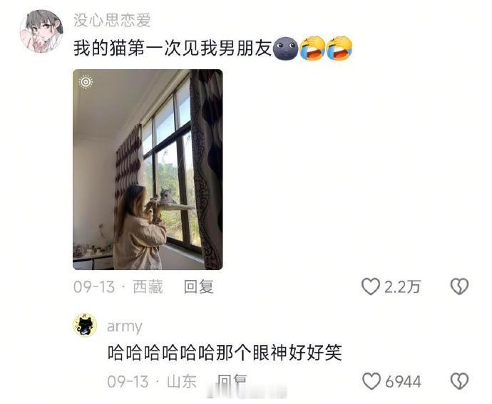 当小猫不喜欢你的对象时