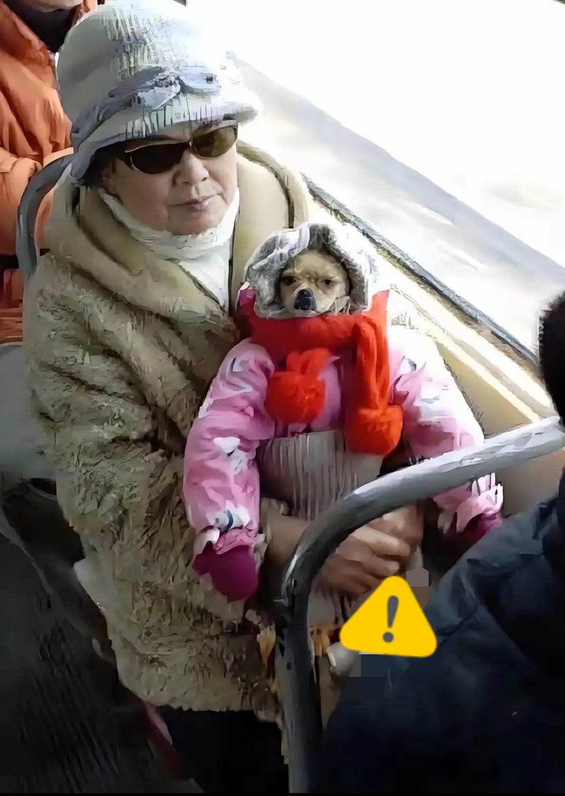 嘿，你们瞧瞧这位老太太，可真有她的！明知道狗不能上公交，竟想出乔装打扮这招，给狗