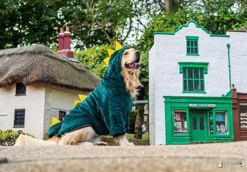 一位高人给我的几条忠告：“第一，不要随便把外人往家里带。这句话永远要刻在脑子