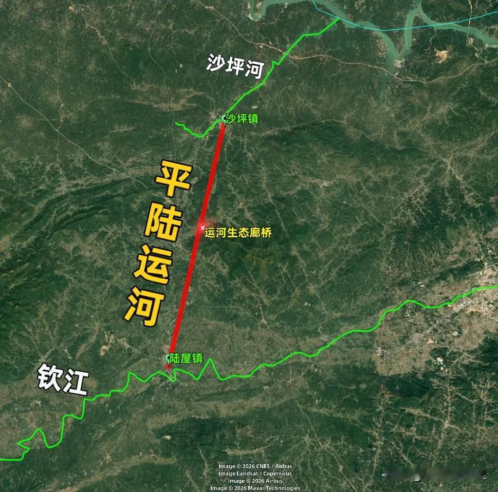 中国平陆运河上的一座桥火了，禁止人车通行，专为小动物服务！你见过一座桥，花