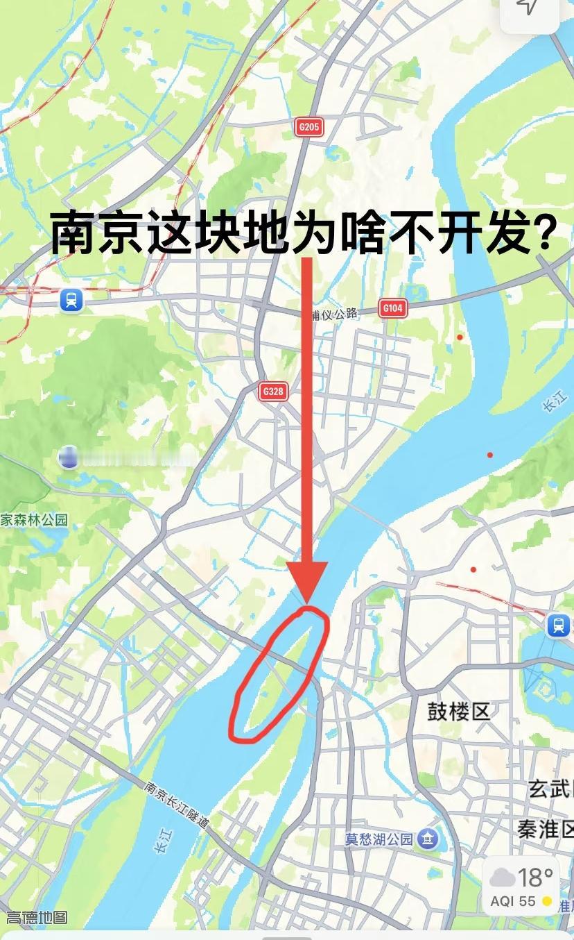 真的蛮好奇,南京这块地为啥不开发?