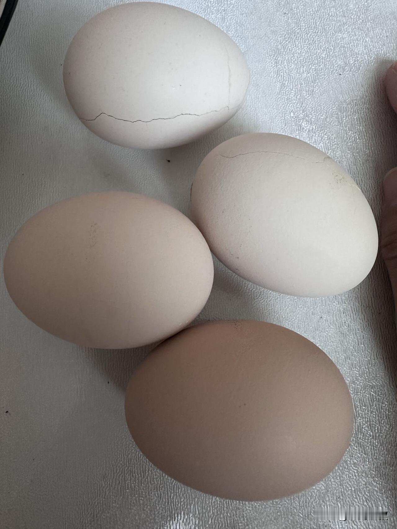 老妈说我买的鸡蛋很奇怪是不是假的我是在某优选买的不到14块一板是30个不