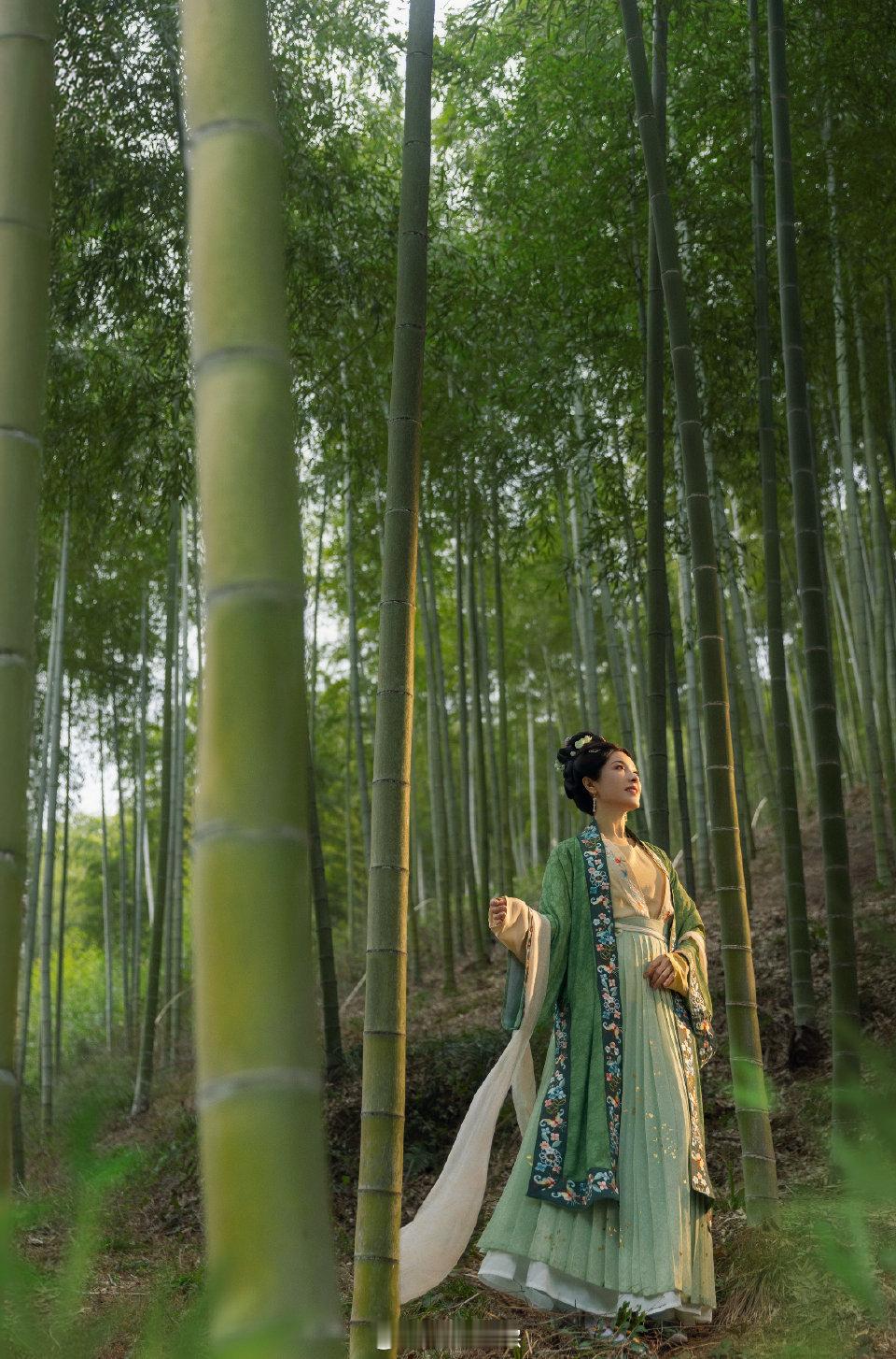 曾黎竹林古风美人真的太惊艳！曾黎宛如竹林间的精灵，身着古装，其竹叶青色衣裳和竹