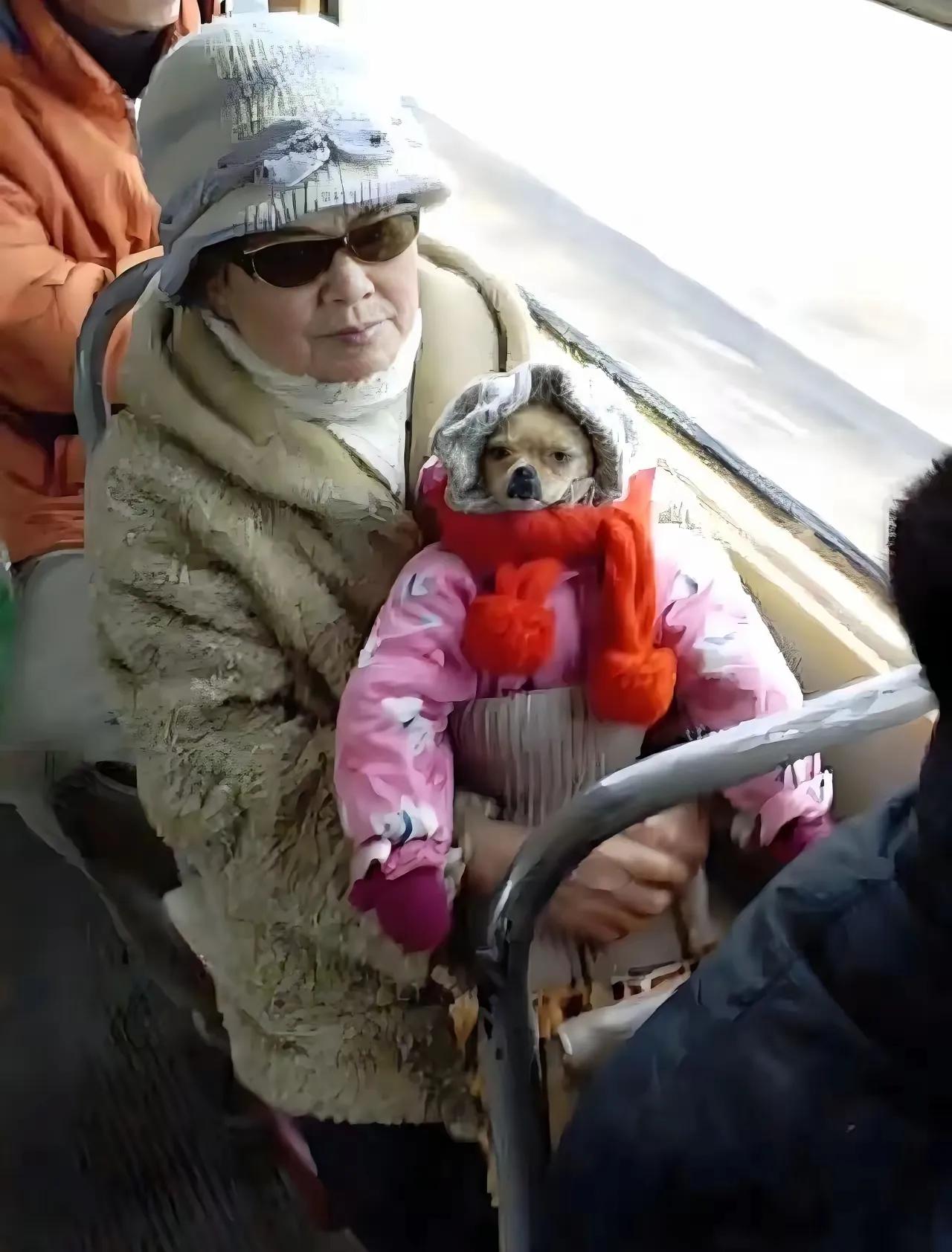 狗狗再可爱也是动物啊，带上公交车算怎么回事？部分乘客对动物毛发过敏，带宠上车