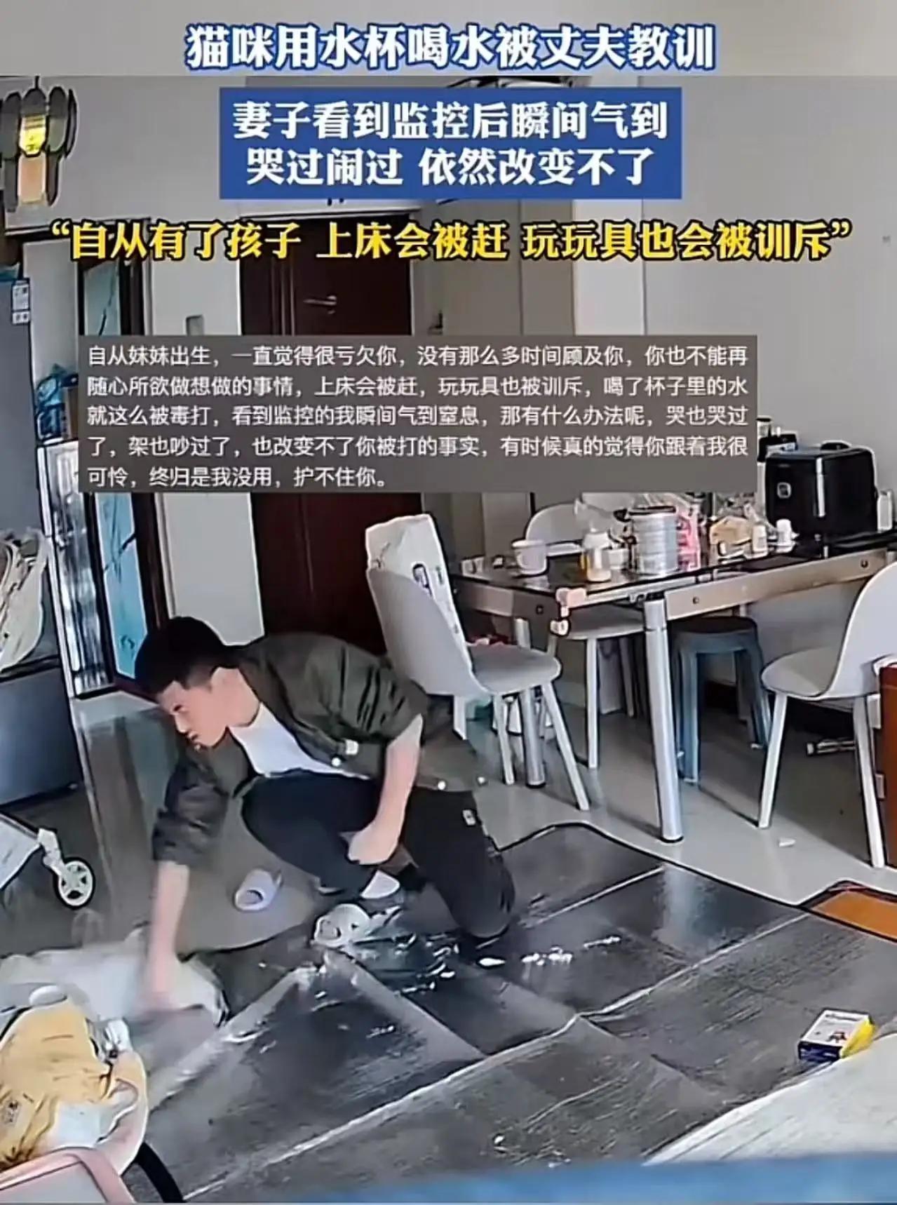 “孩子重要还是猫重要？”这个问题似乎简单，却在这个家庭里激起了千层浪。那天，妻子