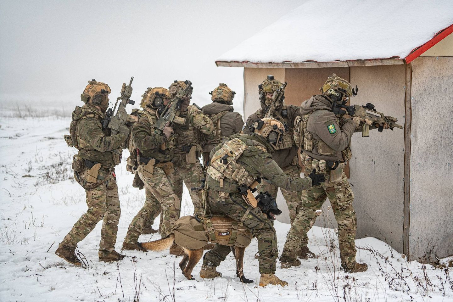 西班牙特种部队成员和狗子