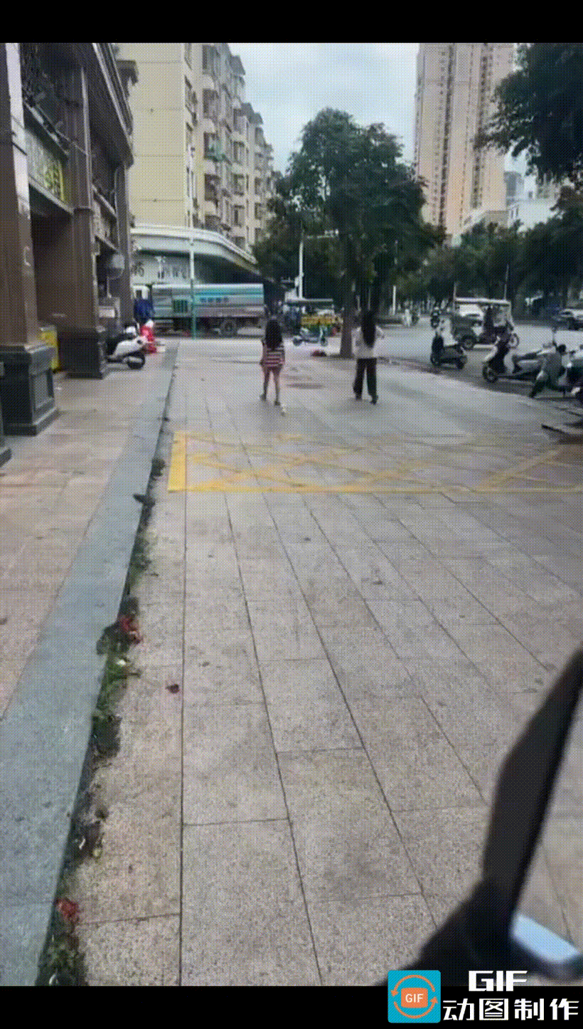 女子带着心爱的宠物鸭在街上溜达。两个黄灿灿、毛茸茸的小东西，紧跟着女子脚后跟，
