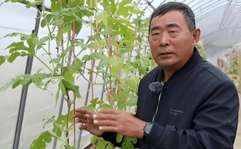 一位连高中都没毕业的黑龙江农民，拒绝300万美元高薪挖角，攻克了美国、日本专家研