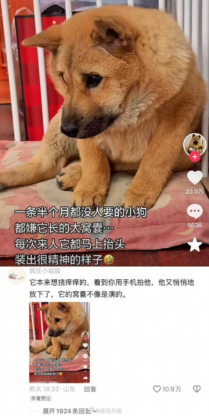 这就是i人装e的样子吗