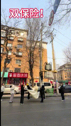 双保险太厉害了……这是一个温暖的世界！这只猫够淘气的，怎么爬那么高？太危