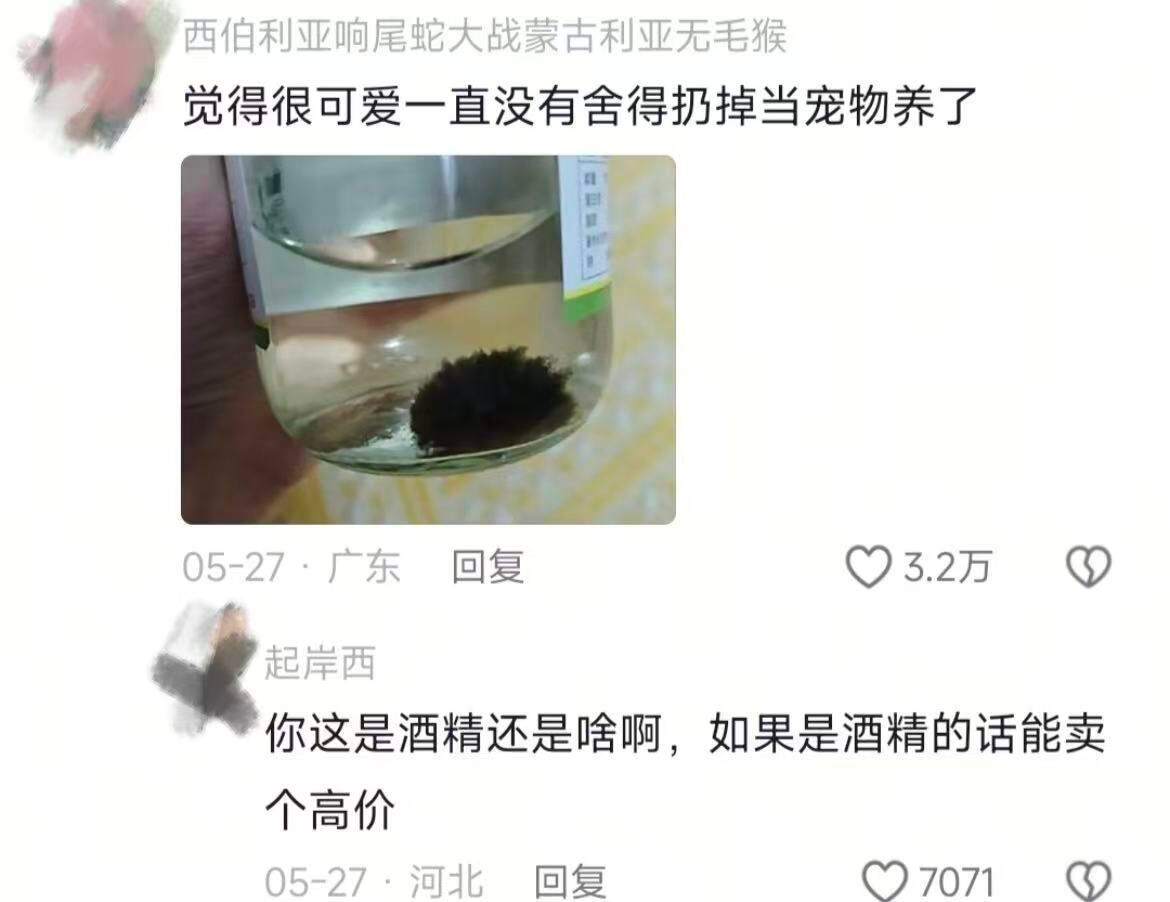 我悟了，人果然挣不到认知外的钱