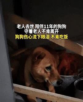 广东一女子爷爷去世，晚上十点给爷爷守灵，突然发现家里的狗子进房间后就没出来，于是