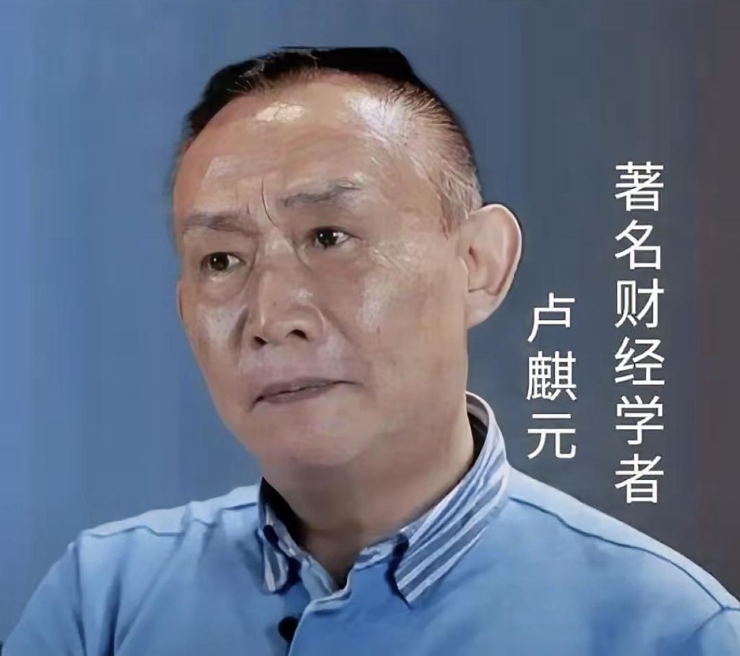 卢麒元最近讲话了，说现在有人想把水、电、网这些命脉搞私有化。还用一堆英文术语包装