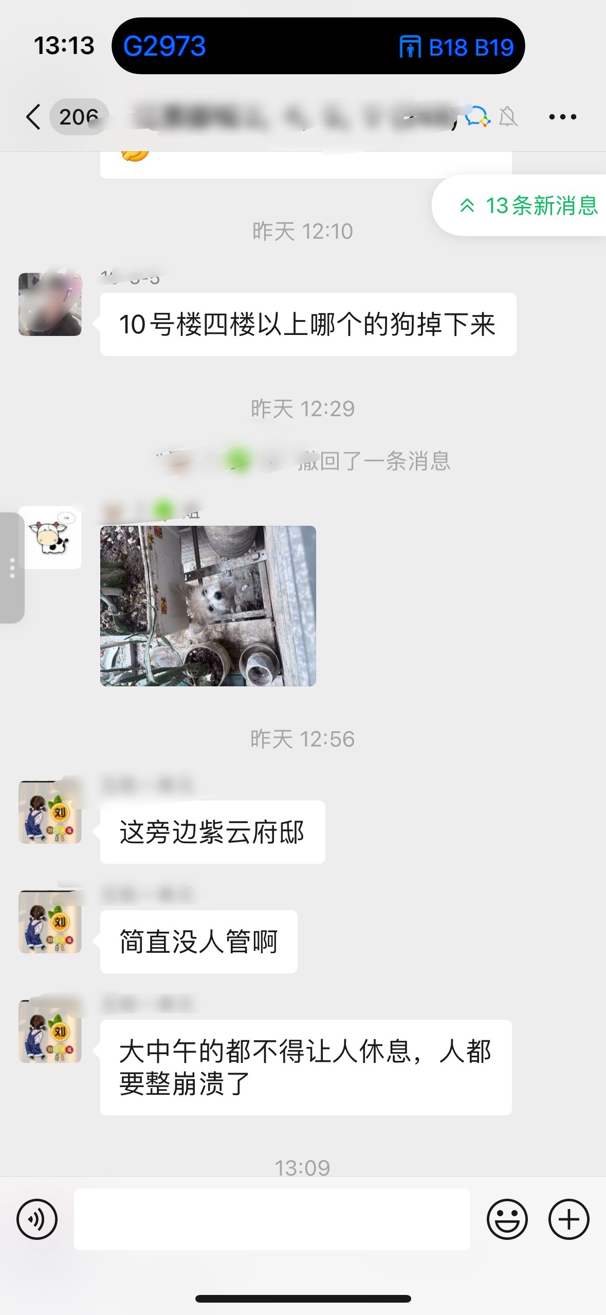 业主群笑死我了对不起小狗可怜巴巴的​​​
