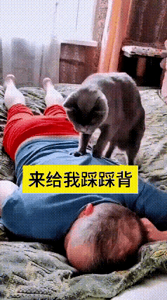 看完这段温馨的居家片段，心里感觉格外放松。主人趴在床上，轻声招呼家里的蓝猫过来