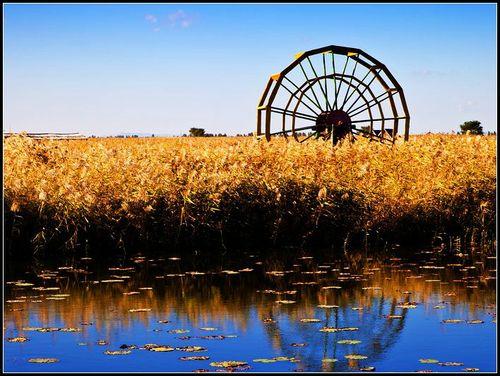 东北想要获得日本海出海口，有3种选择方案，哪种可能性最大？东北没有出海口，是