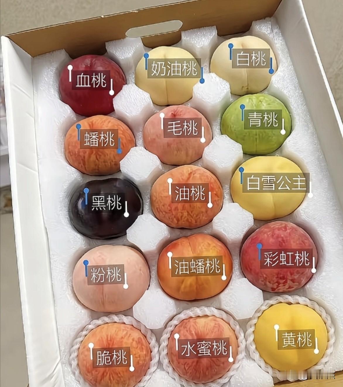 桃子家族，你最喜欢吃哪个品种？