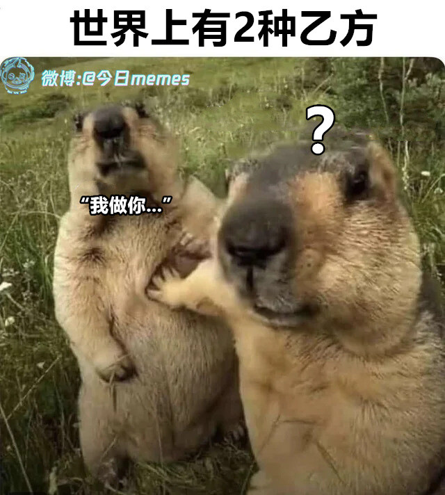 你说（9gag）今日meme今日memes
