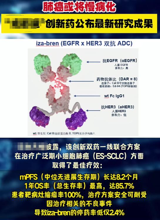 这两天看到一则新闻，我国某药厂推出了一款新药，有报道称其能让肺癌实现“慢病化”。