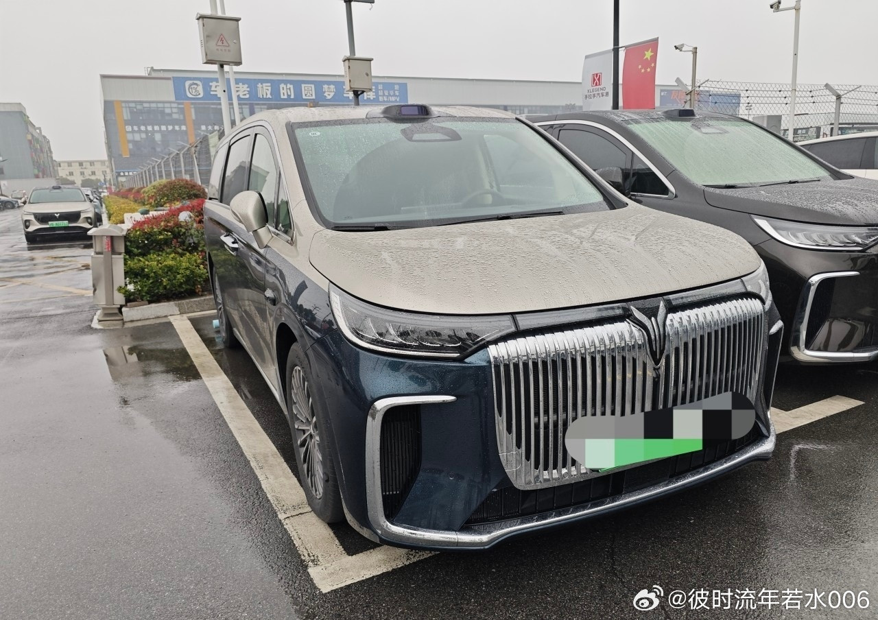 本次到上海松江岚图店做完常规保养，顺便让师傅检修之前更换轮胎后松动的轮毂防尘罩。师傅认真拆解分析松脱