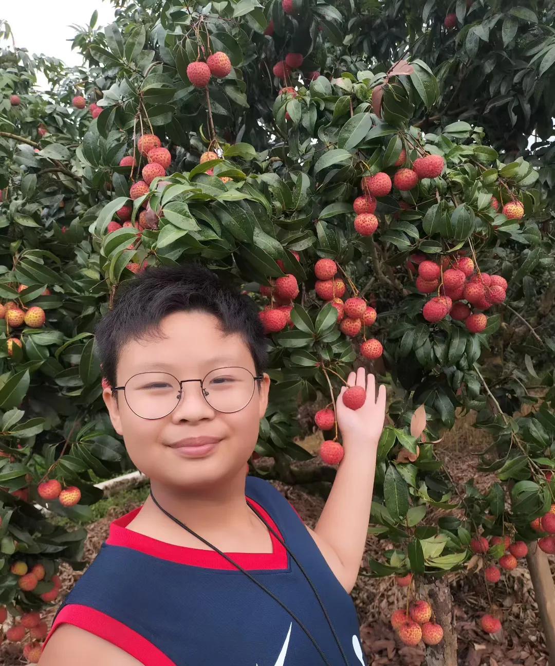 中国人的心态仍然是，高考取得成功，考上北大、清华等著名学府，毕业后进入公务员系统