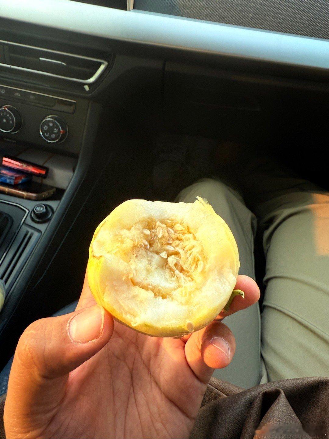 只有东北的小孩才会知道这个香瓜🍈多好吃[大笑]​​​