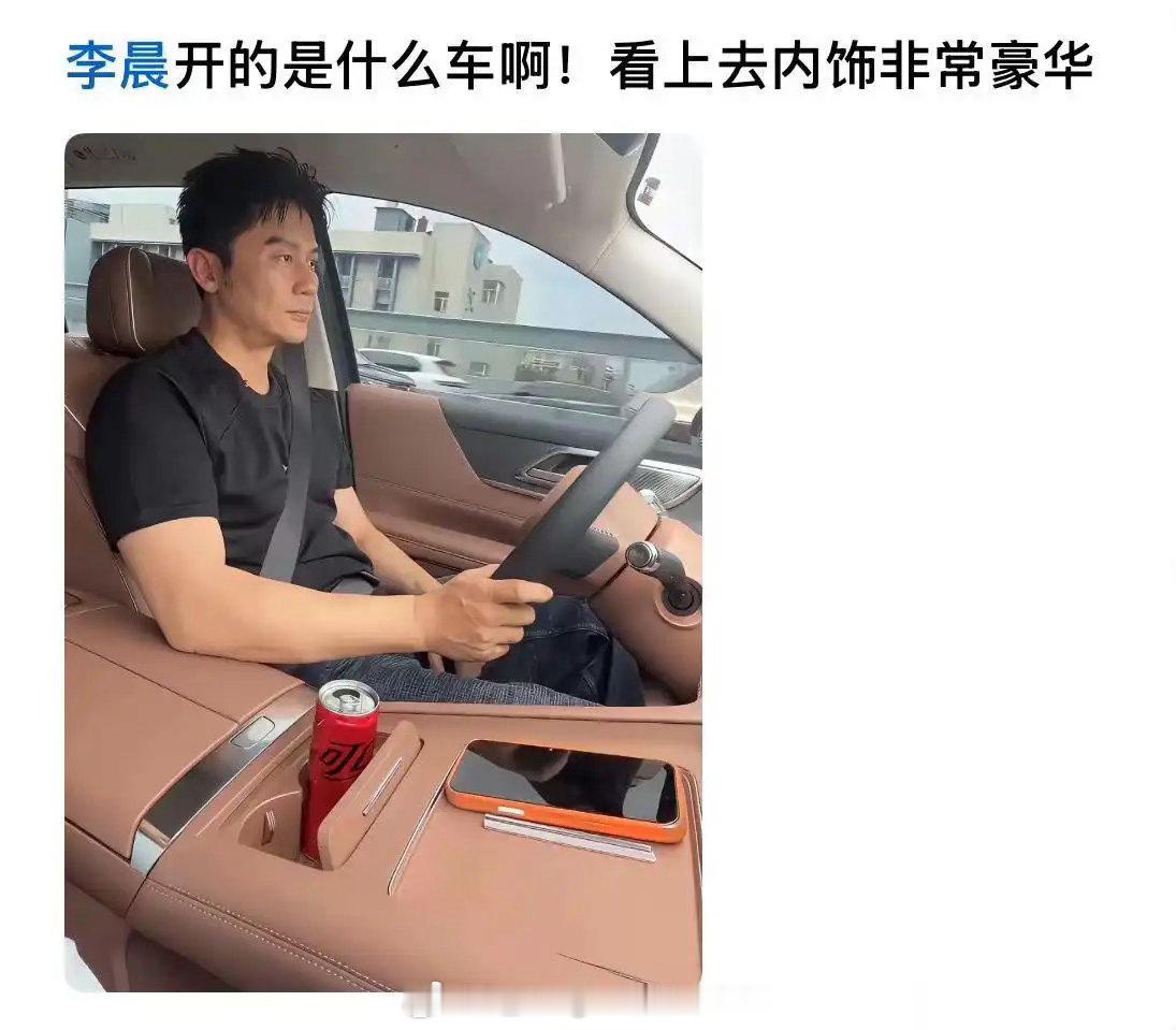 李晨开的是什么车啊，看上去内饰非常豪华