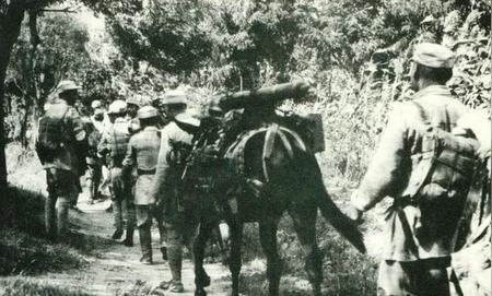 1985年，80岁的许世友上将来到济南，他想去祭奠济南战役中牺牲的华野九纵烈士，