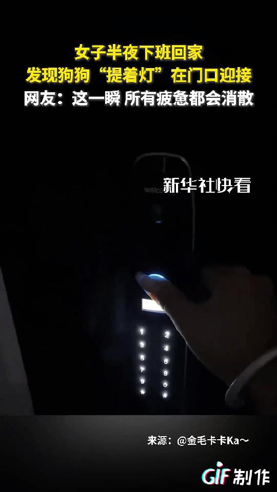 一女子半夜下班回家，结果她打开门的那一刻竟看到她的狗狗咬着灯坐在门口等她，紧接着