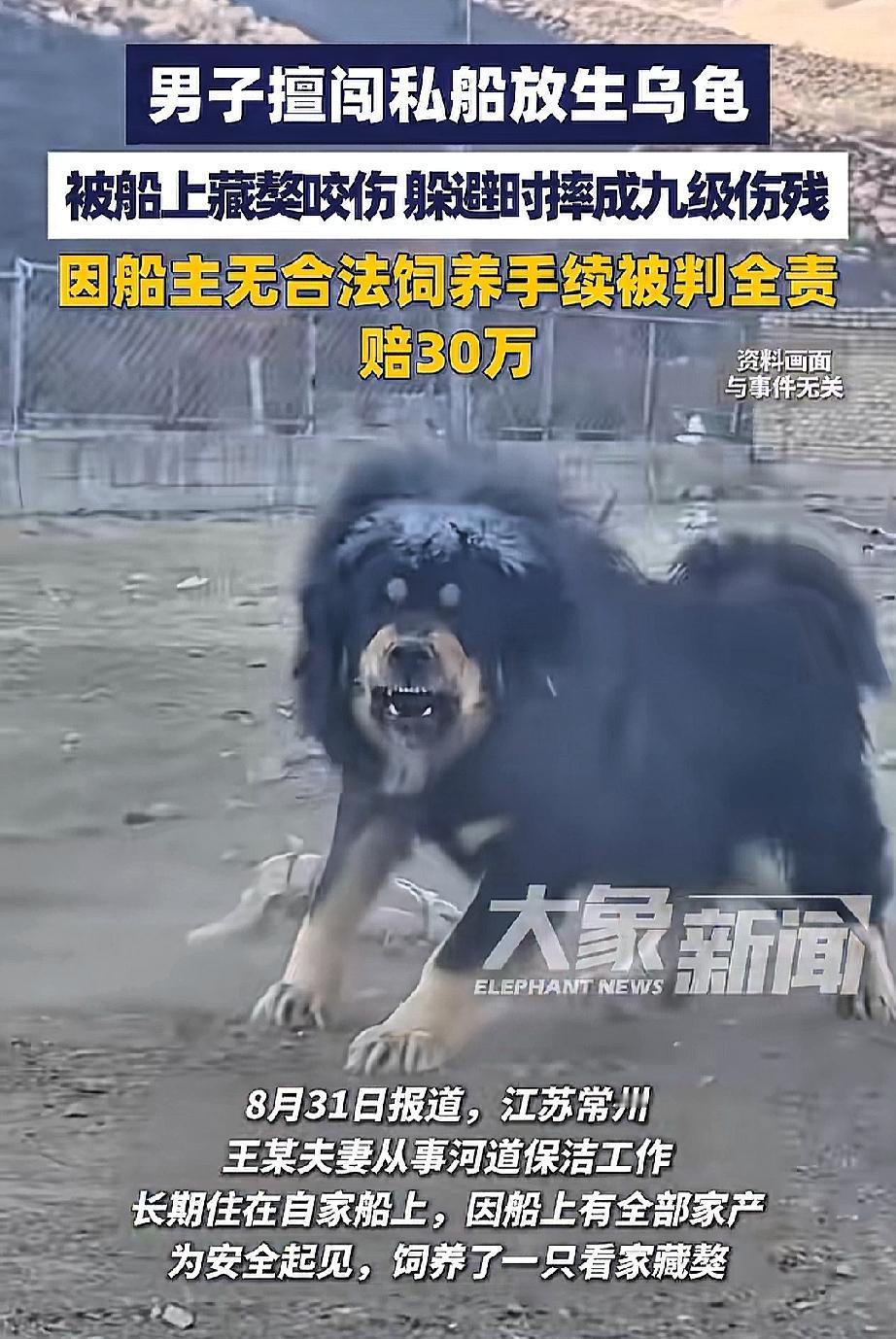 这年头还真是谁受伤谁有理！江苏常州的王某夫妇从事河道清理工作，长期住在船上，