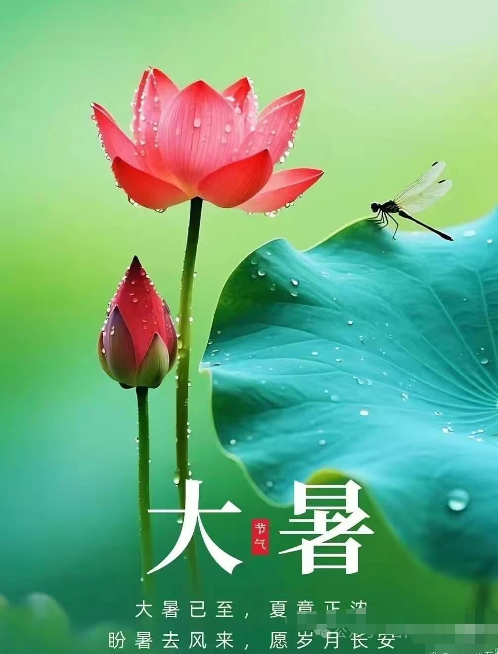 中国八位寒门逆袭学子成功上岸！致敬！寒门学子的楷模！第一位、河北庞众望，生于