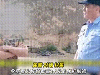 家有“傻狍子”？真容揭晓，她差点给全家请回牢底“祖宗”