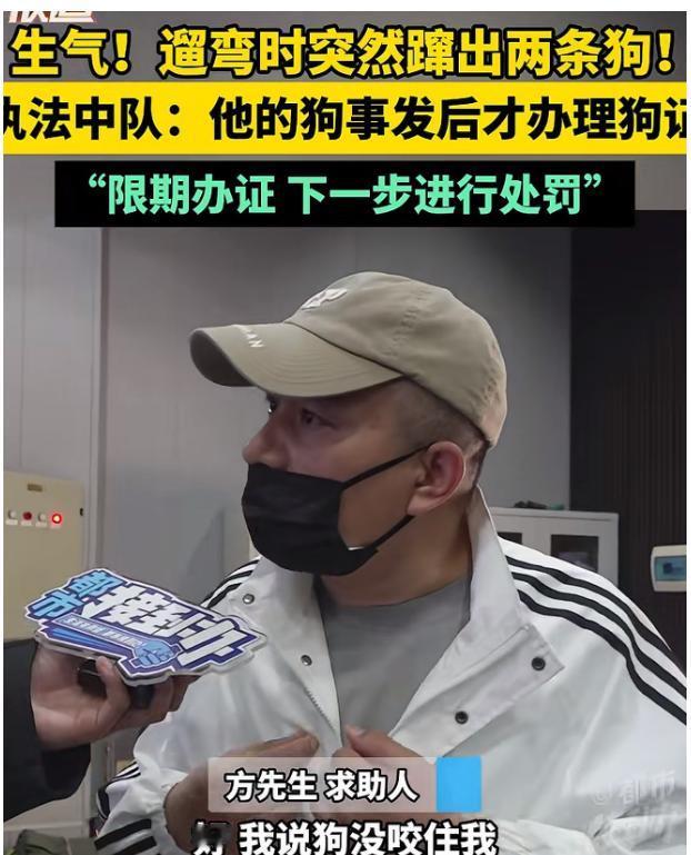 4月29日报道，河南郑州，女子和丈夫深夜在小区遛弯，突然窜出来两条未拴绳的狗，将