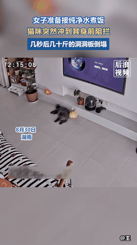 “科学无法解释！”湖南，一女子打算接纯净水煮饭，可刚走没几步，家里的猫咪就忽然冲